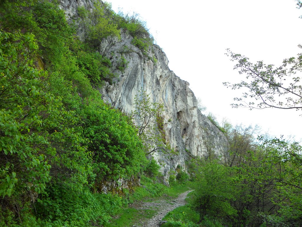 Планински път