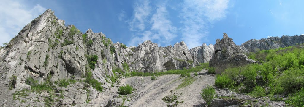 Panorama
