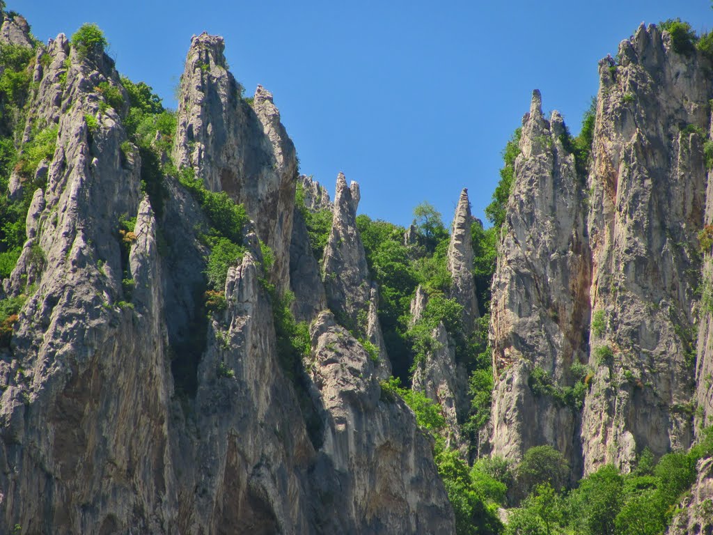 Vrachanski balkan