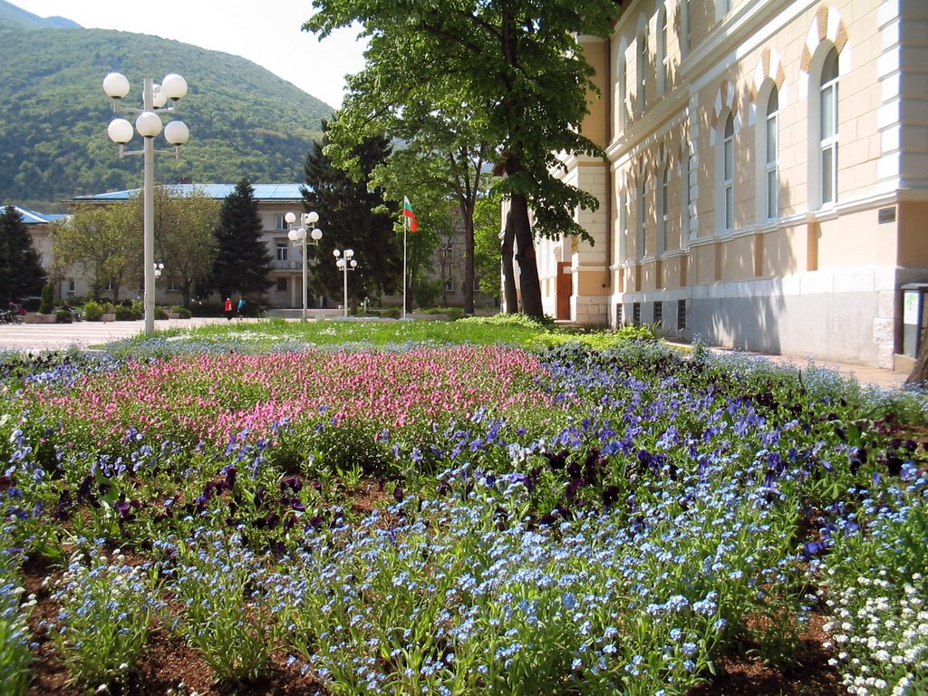 Vratsa, square