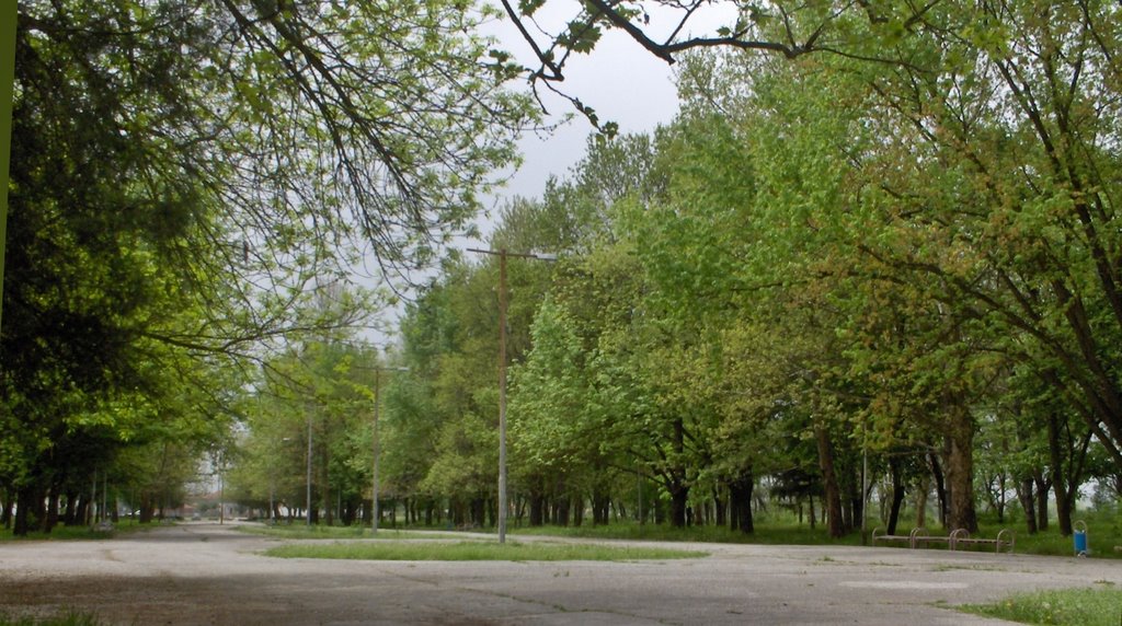 Park