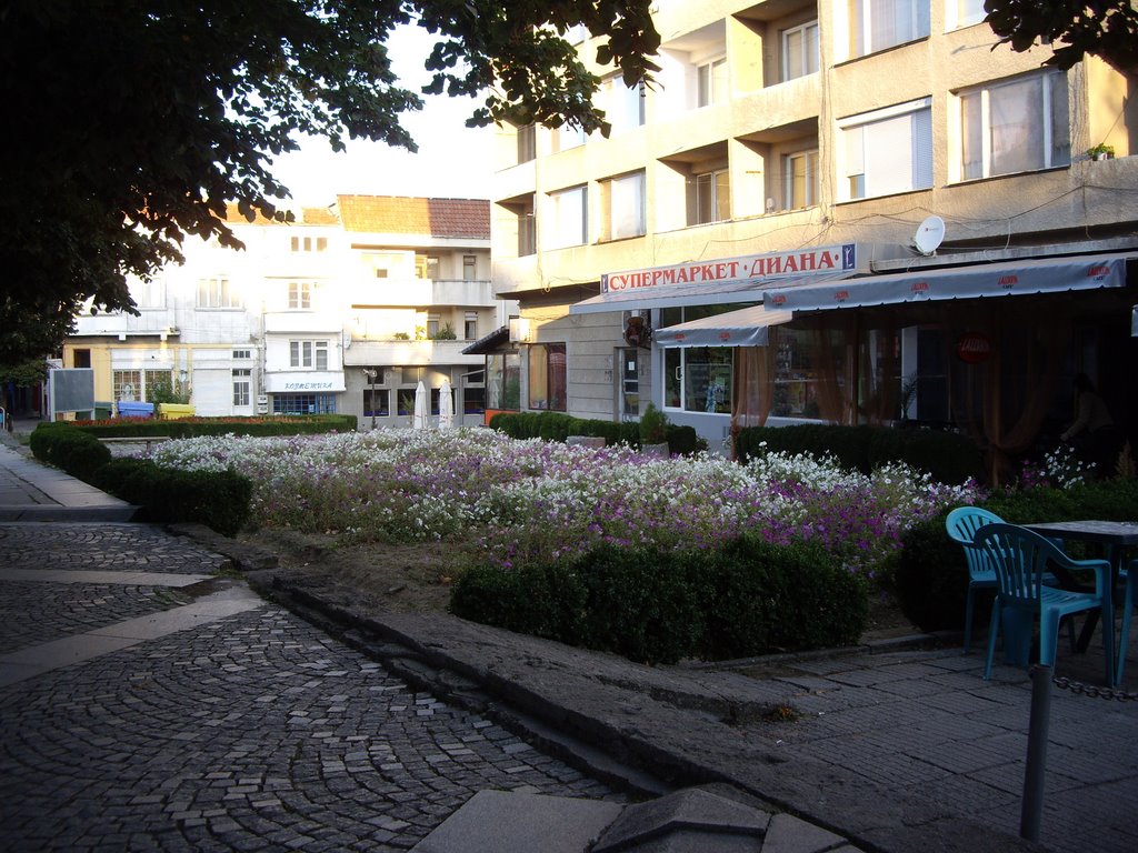 Елхово