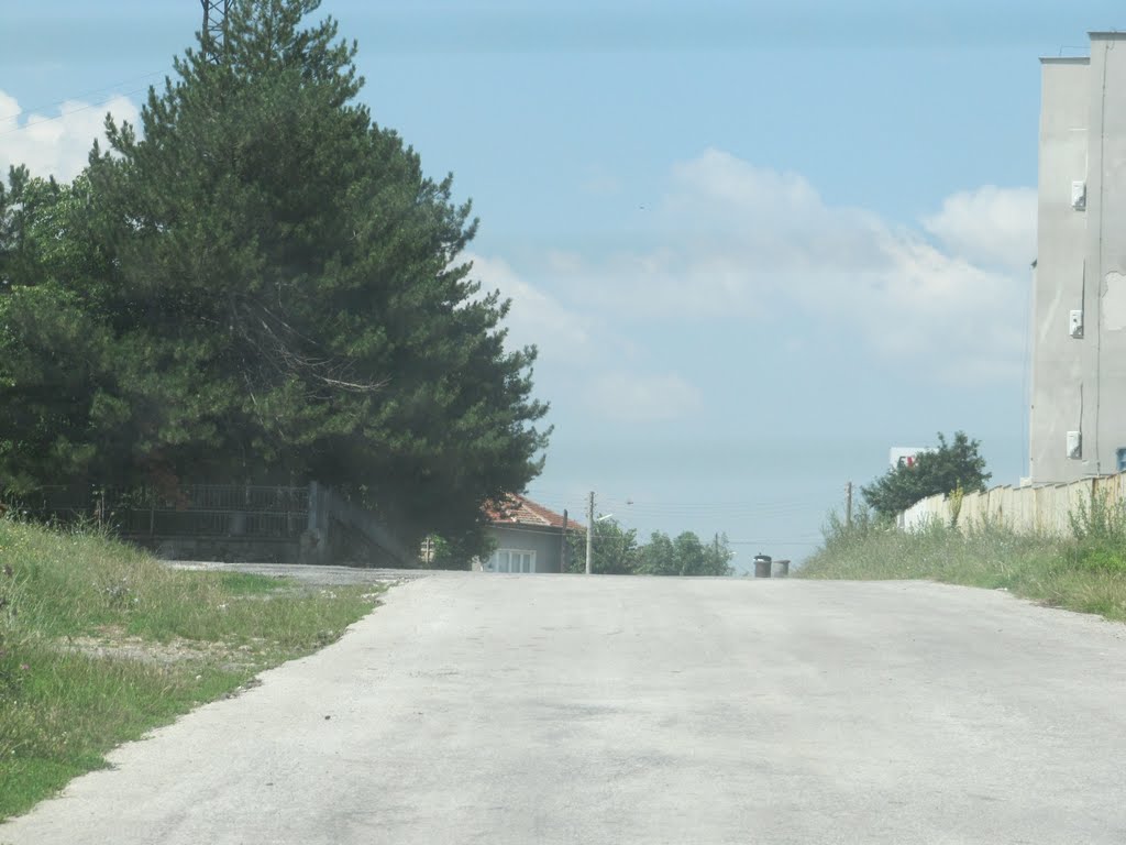 Дапа 2