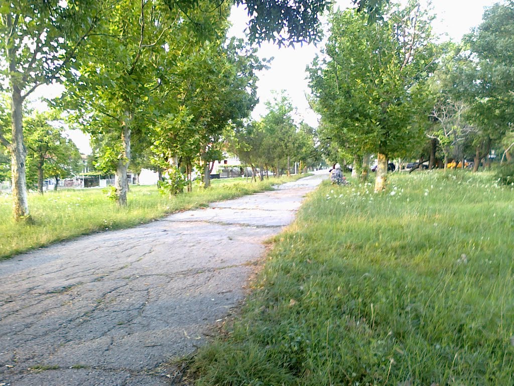 elhovo