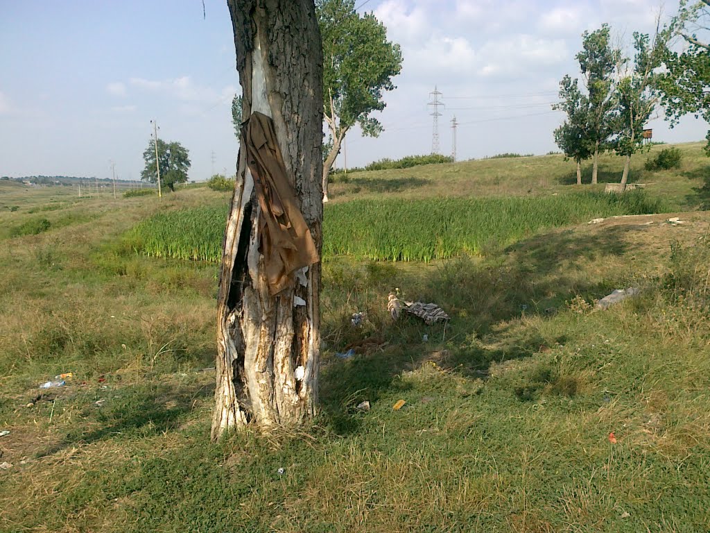 elhovo