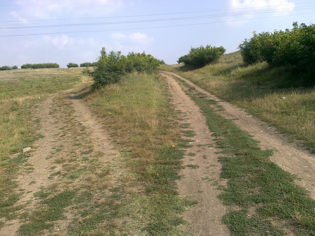 elhovo