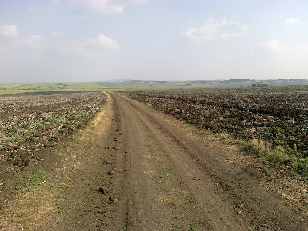 elhovo