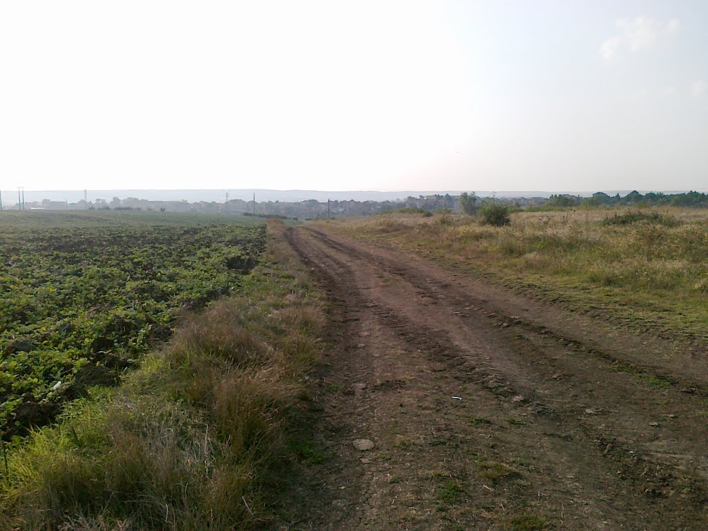 elhovo