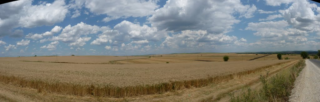 Панорама в полето на гр. Елхово, Ямбол, България