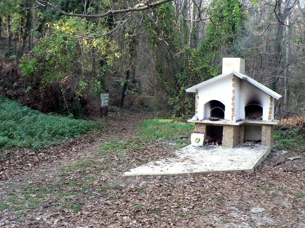 камина / fireplace
