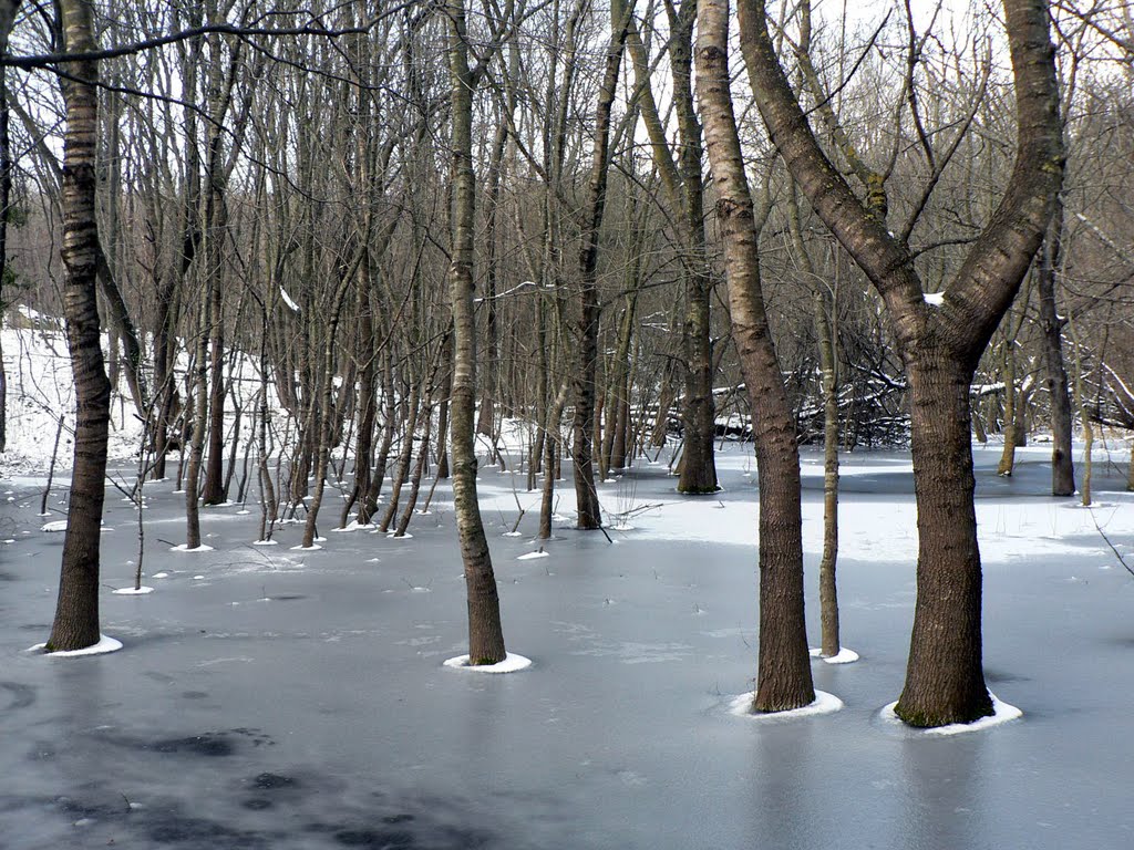 Замръзнало езеро / Frozen lake