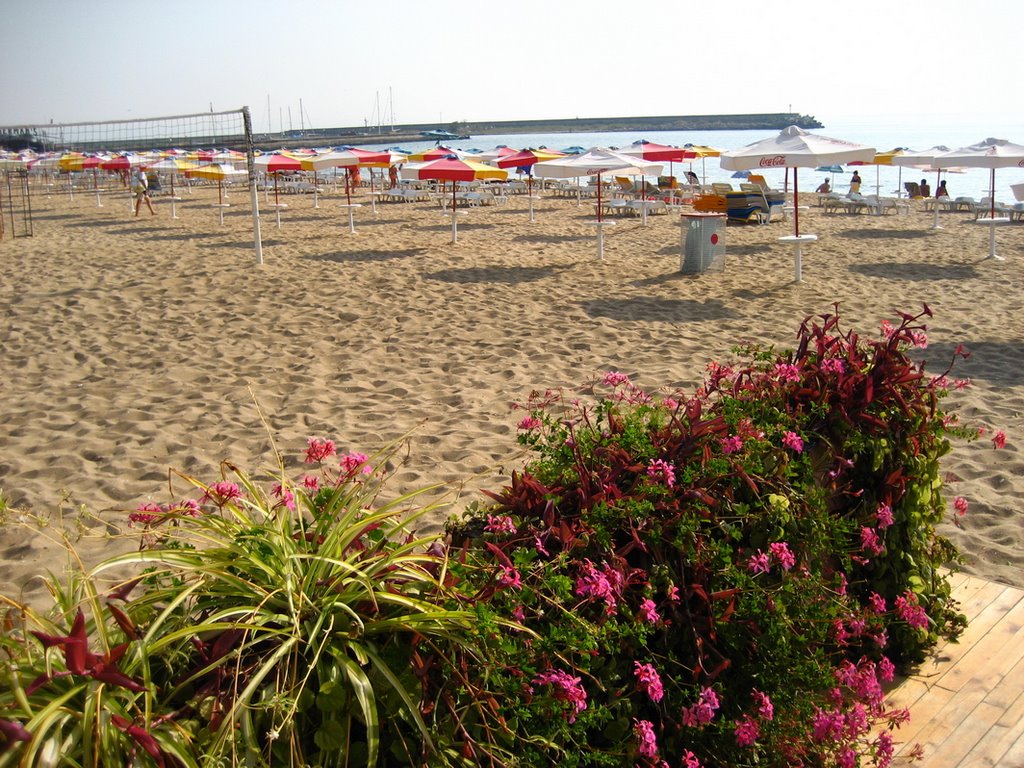 Morning, Golden sands, Bulgaria