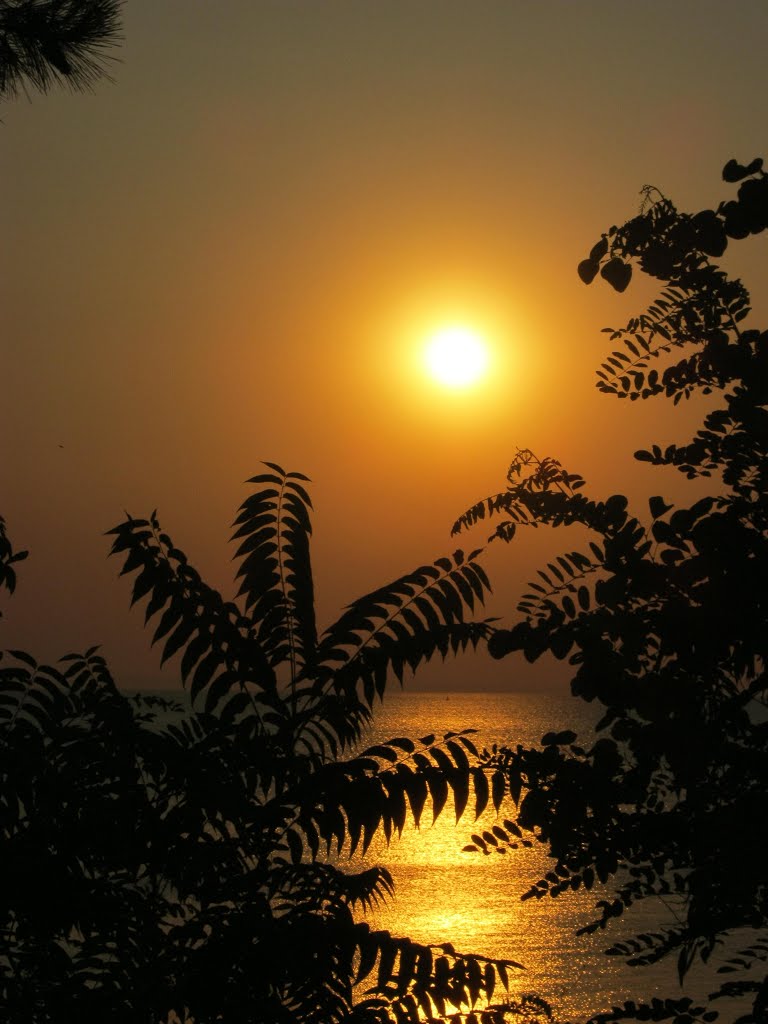 Golden Sunrise At The Black Sea