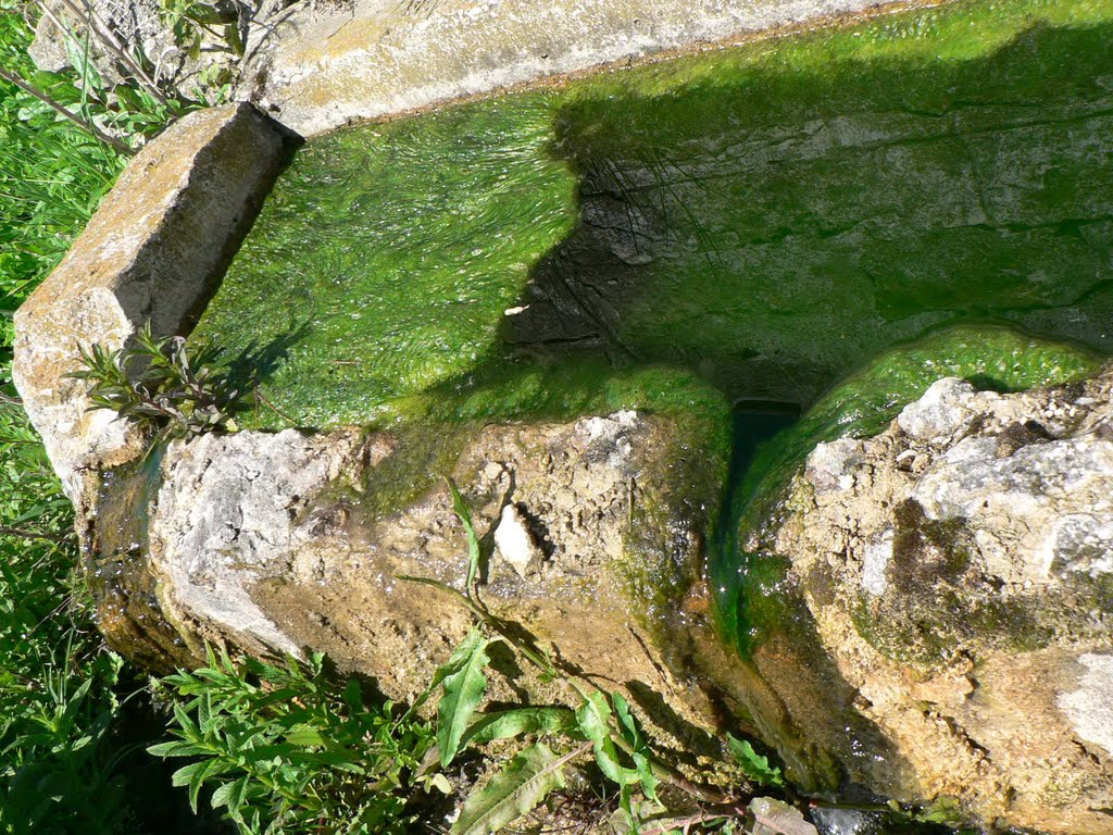 Венелинска агломерация :) чешми / fountain aglomeration :)  v. Venelin