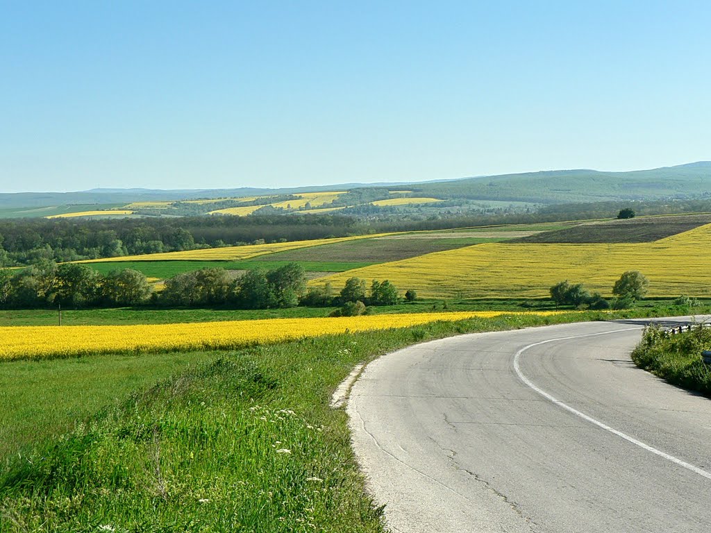 пролeт край с. Венелин / spring near v. Venelin