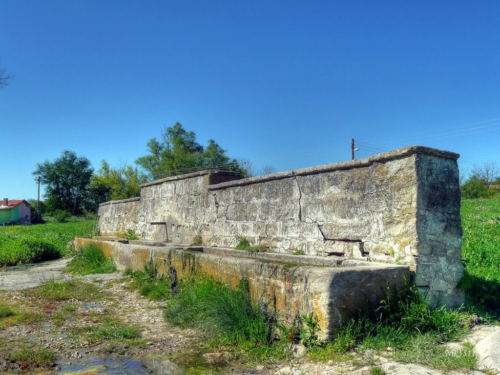 Чешма в село Венелин / Fountain in the village of Venelin