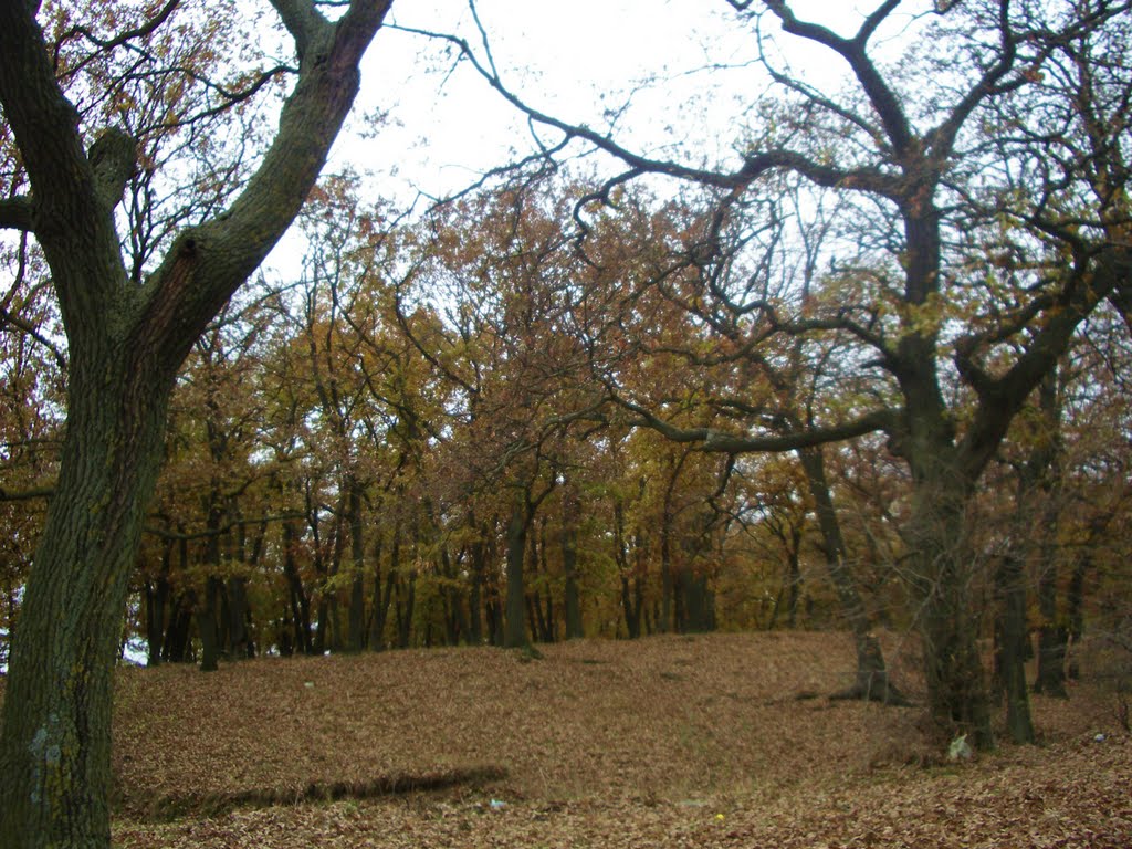 Есен