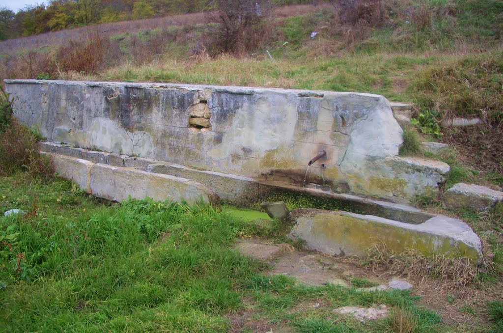 Дядо Дончовата чешма