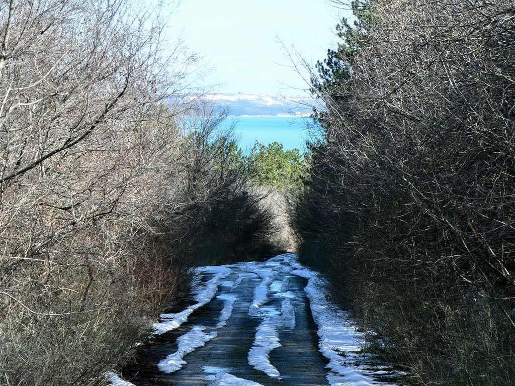 морска панорама от гората / sea panorama from the forest