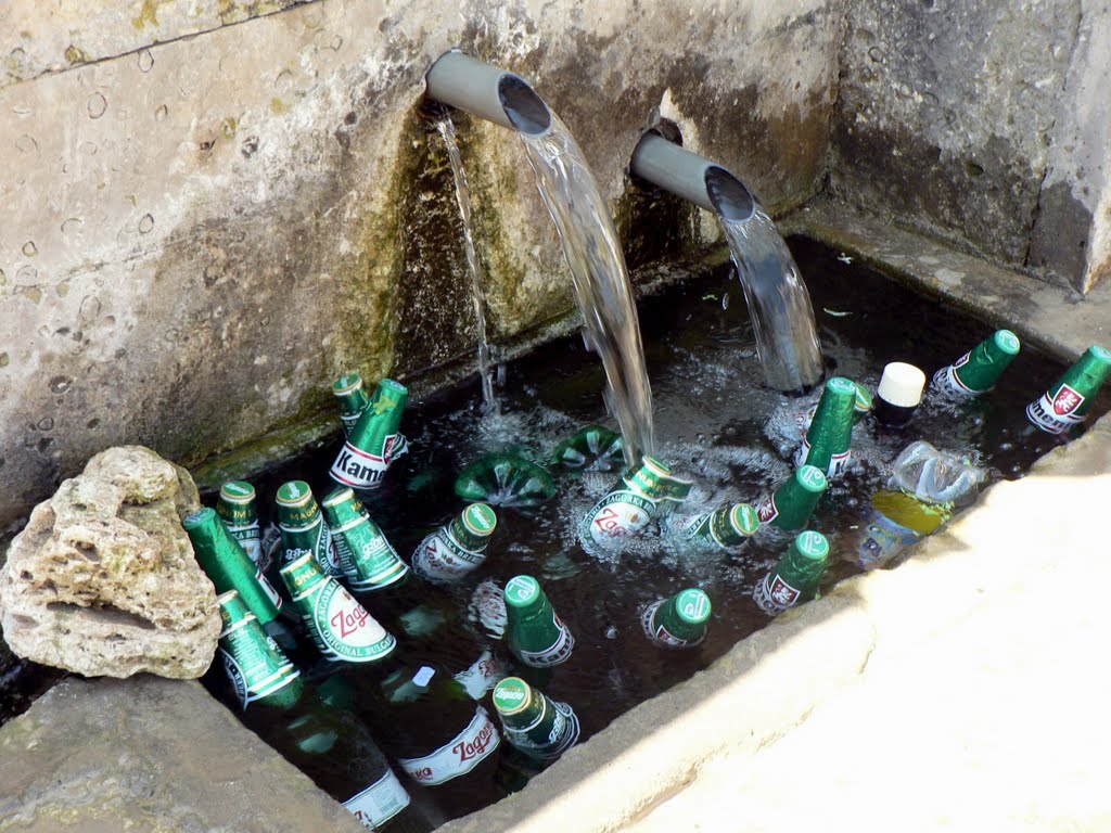 Наздраве! / Cheers!