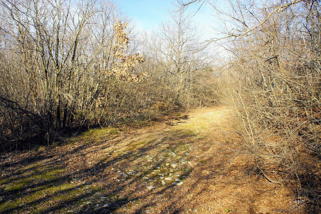 Път (Крепост Кранеа) / Way (Kraneia fortress)