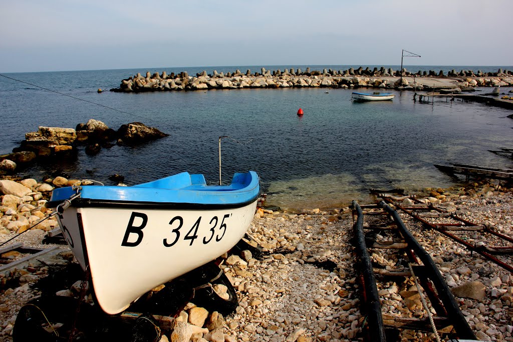 Blue Silence