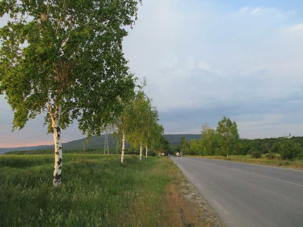 Along The Road