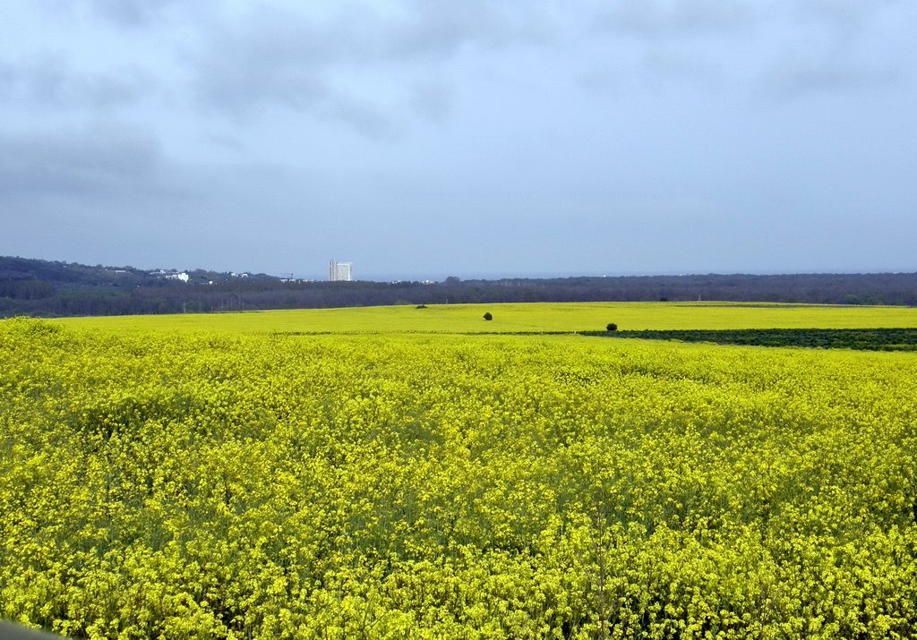 Albena area, Kranevo