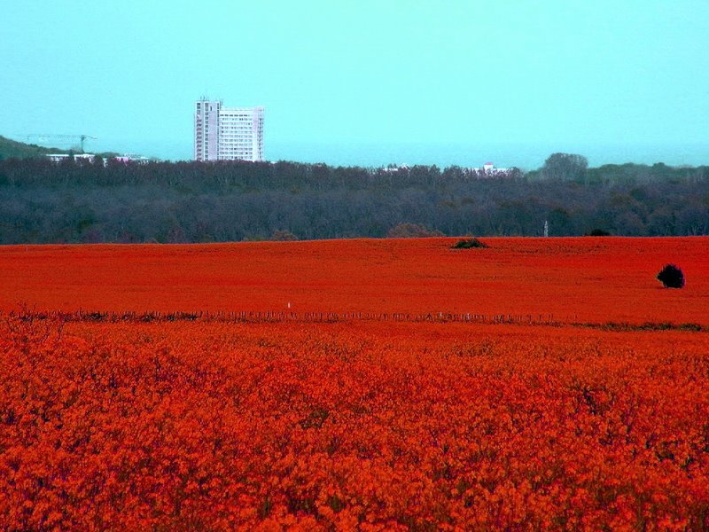 Albena area, Bulgaria