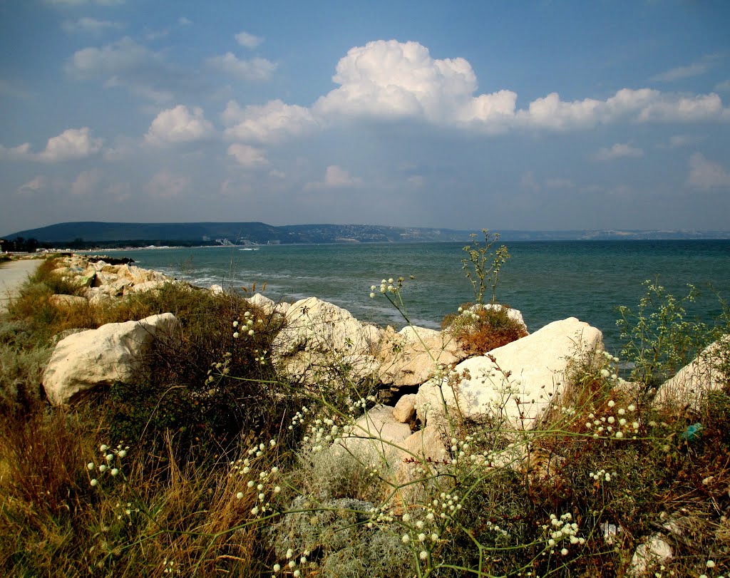 In The Soft Light Of The Outgoing August