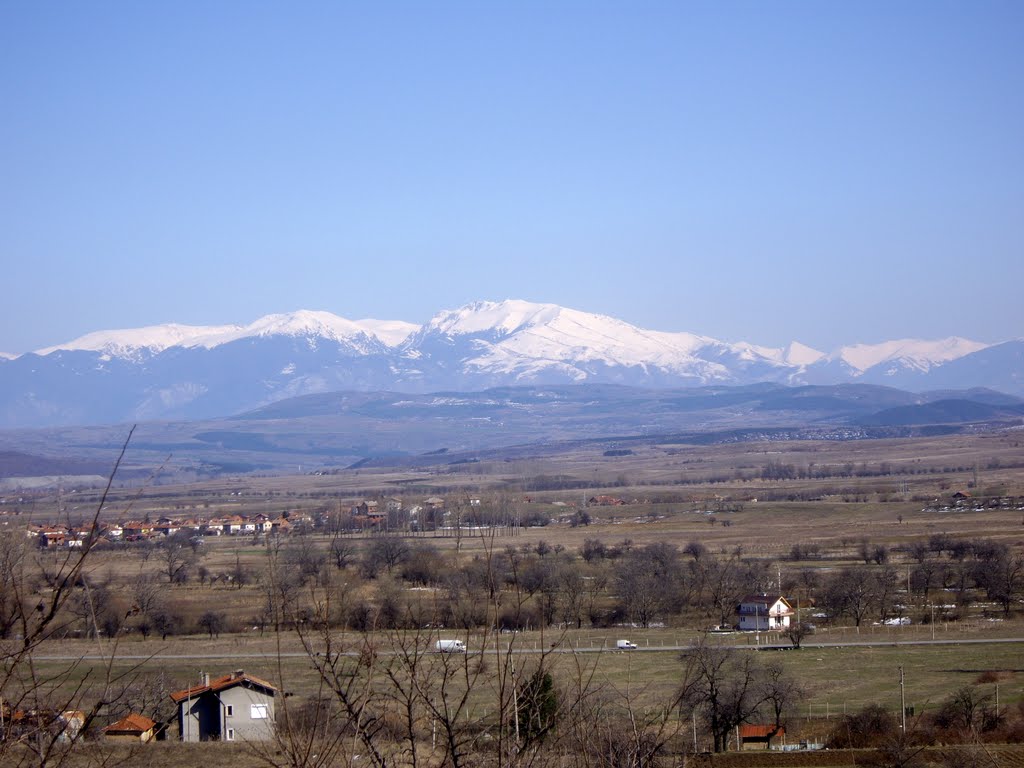 Рила