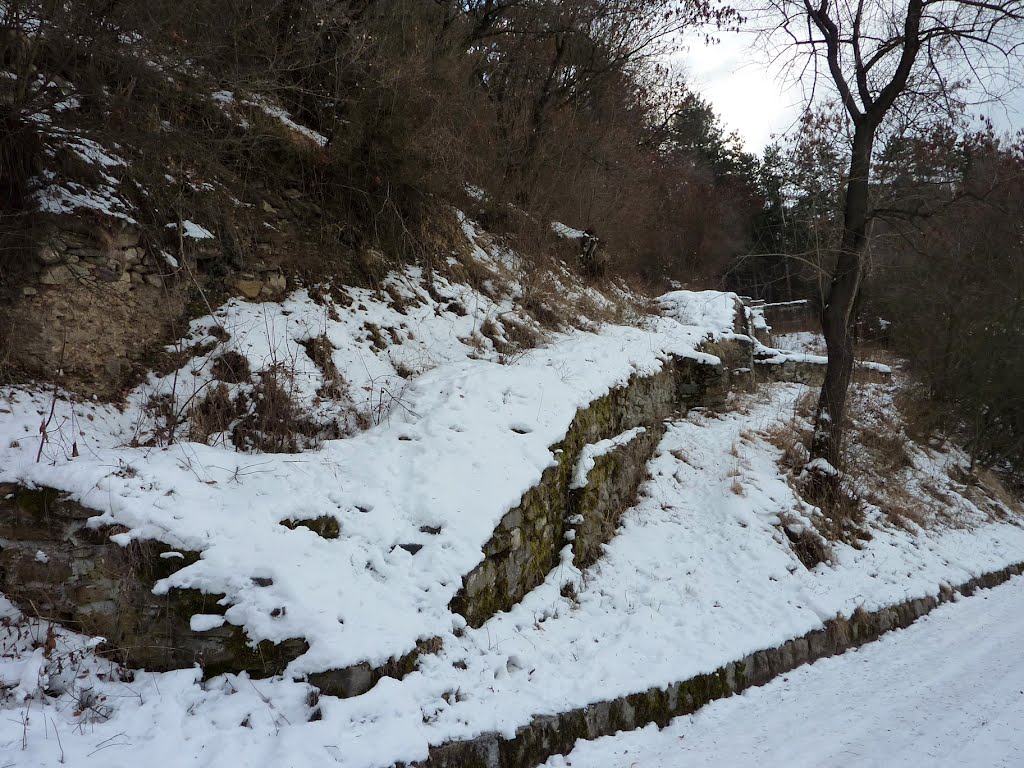 Крепост Пауталия (Велбъжд) / Archaeological Reserve “Pautalia-Velbuzhd”