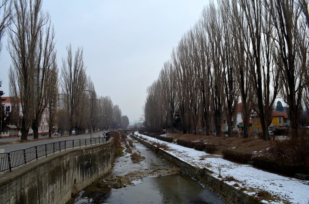 Край реката редят се редят се тополите... / Poplars...