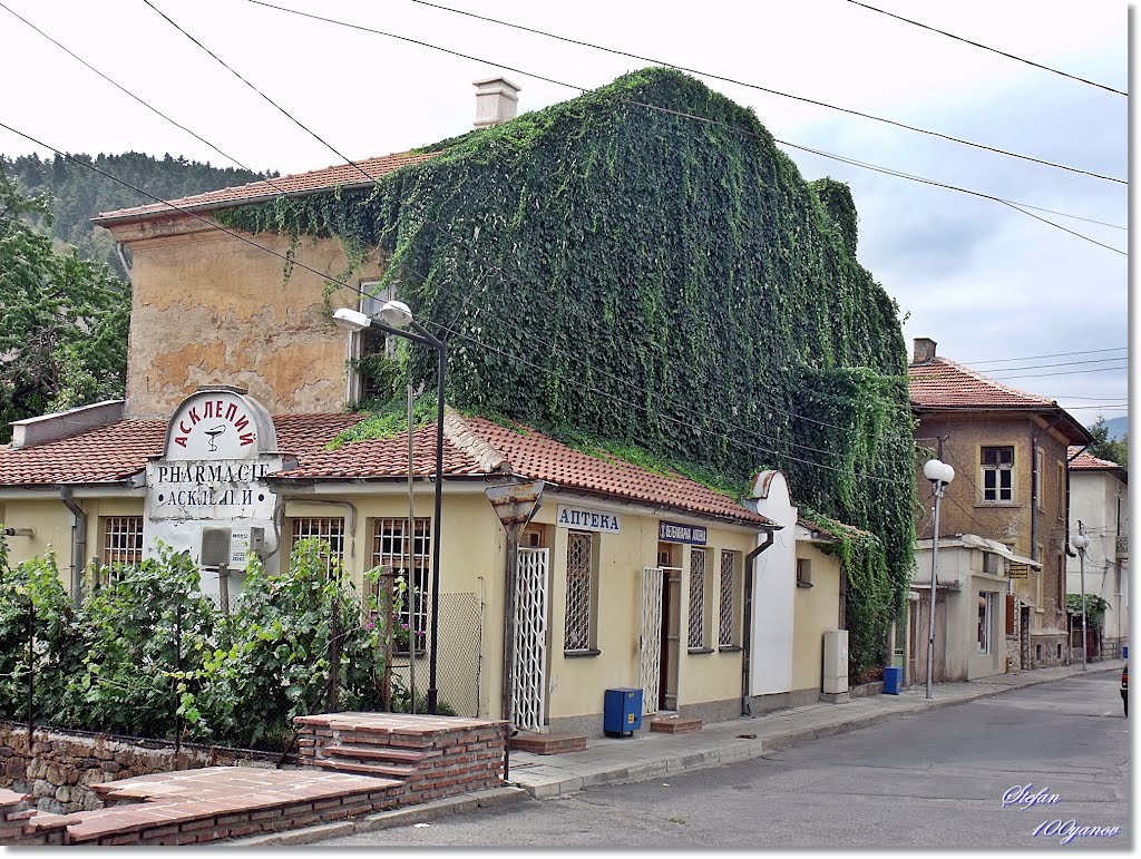 Uncut old house / Неподстриганата стара къща