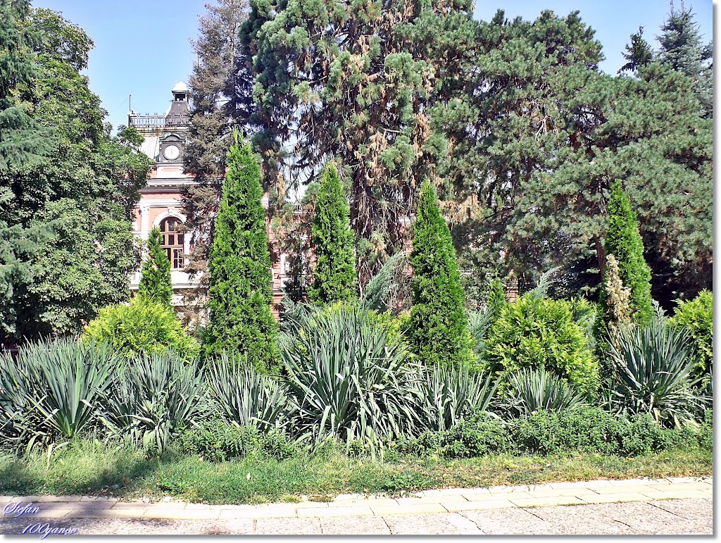In the park / В парка