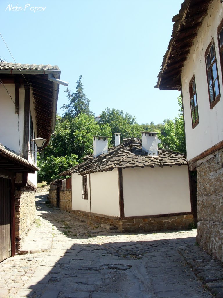 Bulgaria - Lovech / ОБЕКТ 30 - Етнографски музей - Ловеч
