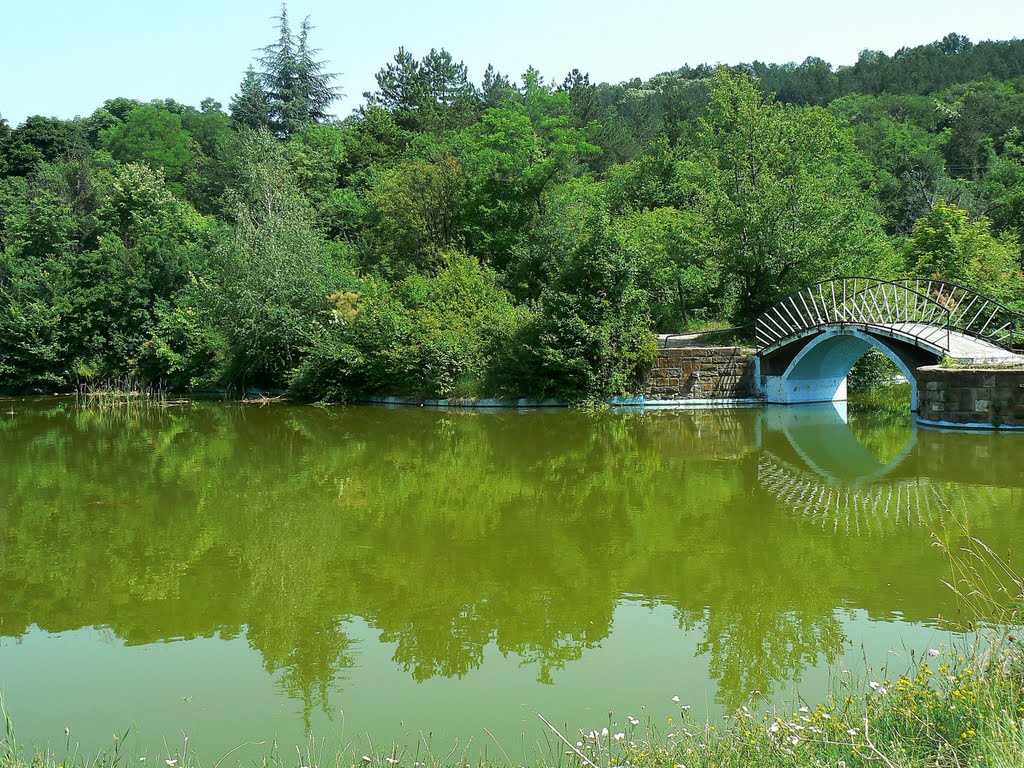 Езерото в зоопарка