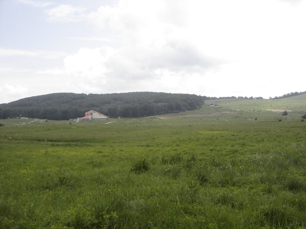 Uzana