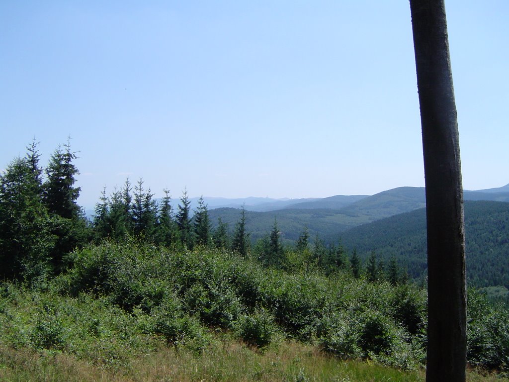 View uzana