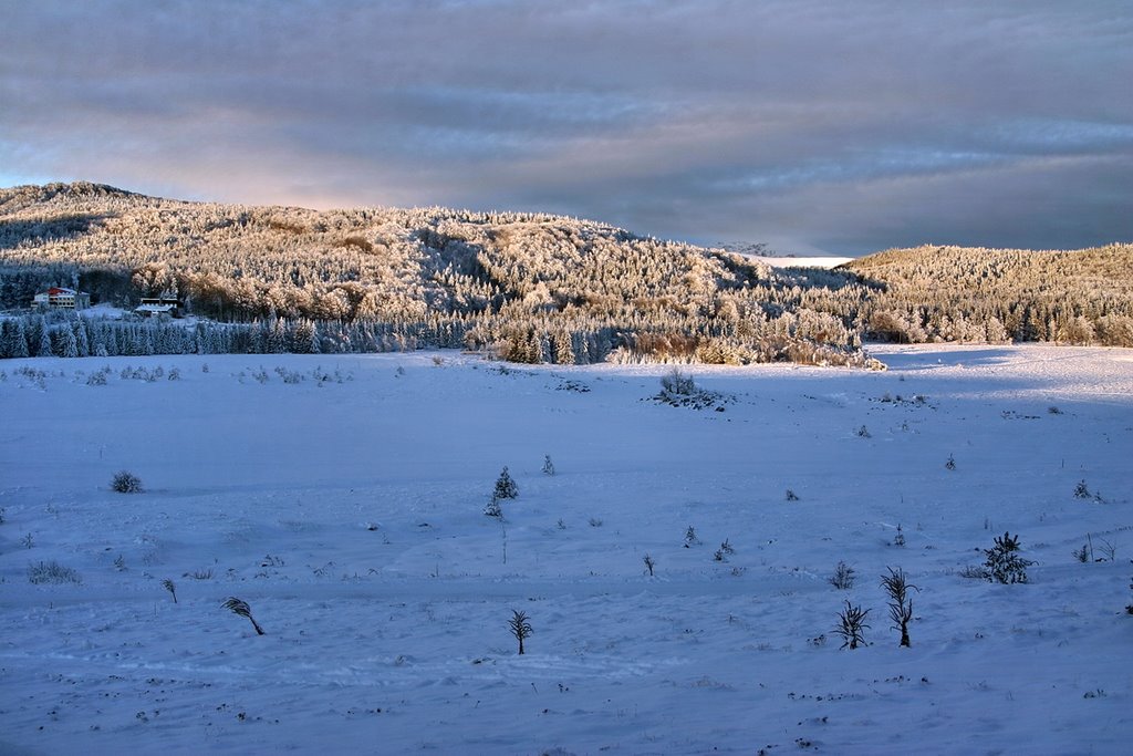 Morning in Uzana