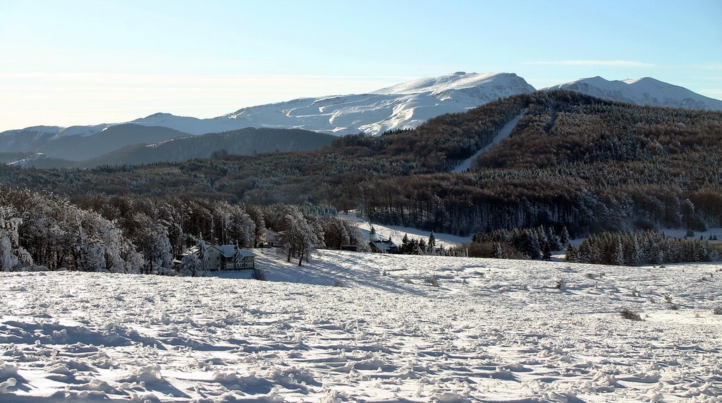 UZANA