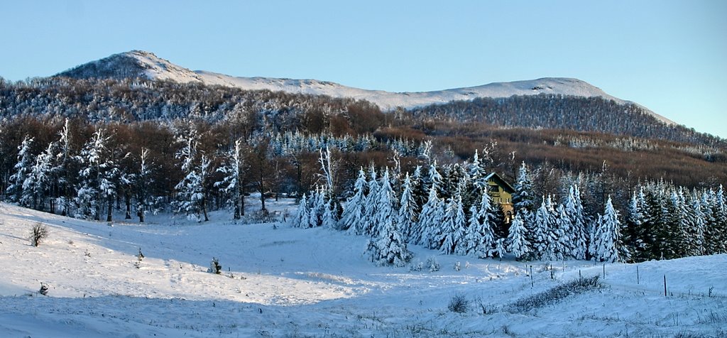 Uzana