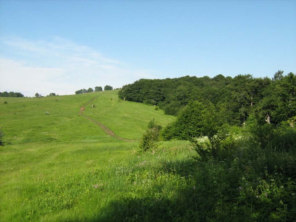 Узана  (Uzana)