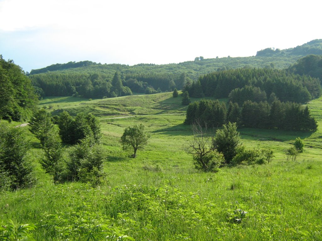 Узана   (Uzana)