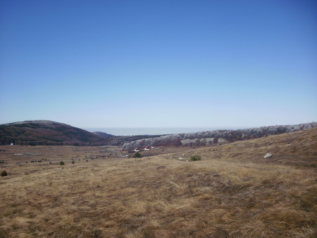 Uzana