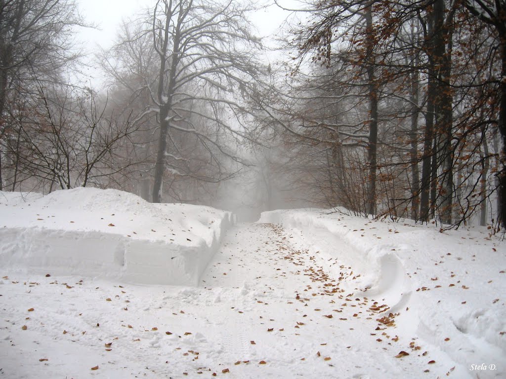 Узана - 02.2012