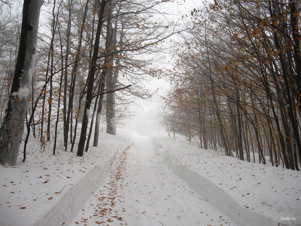 Узана - 02.2012