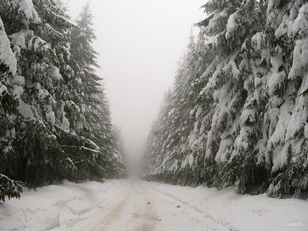 Узана - 02.2012