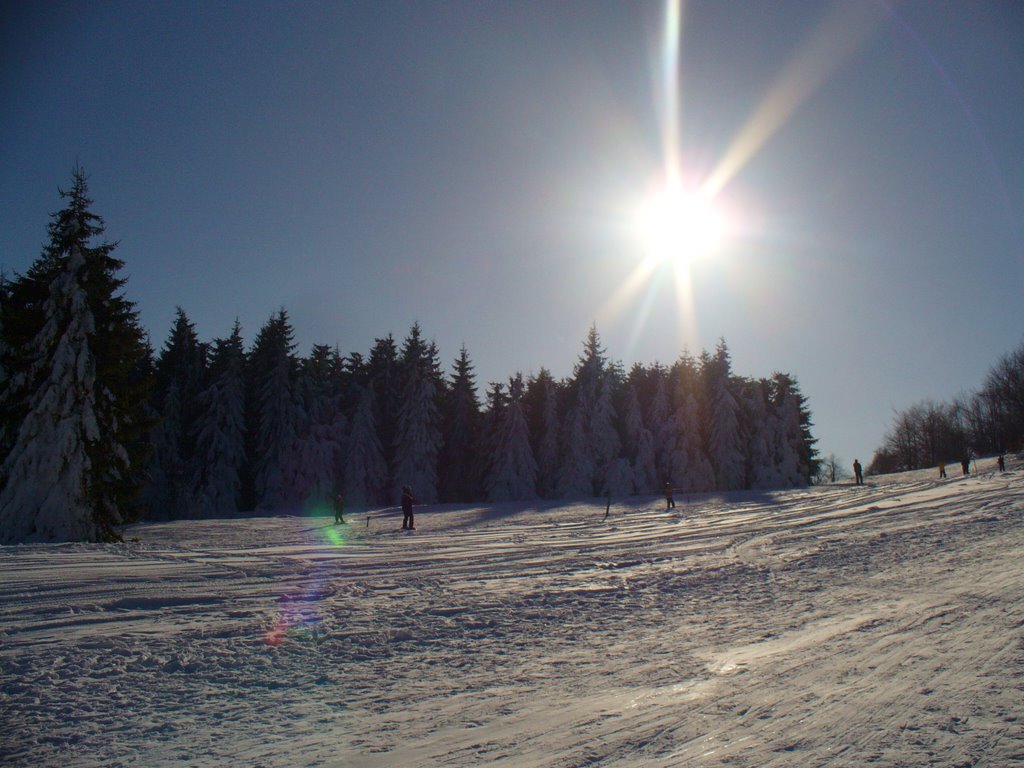 Uzana