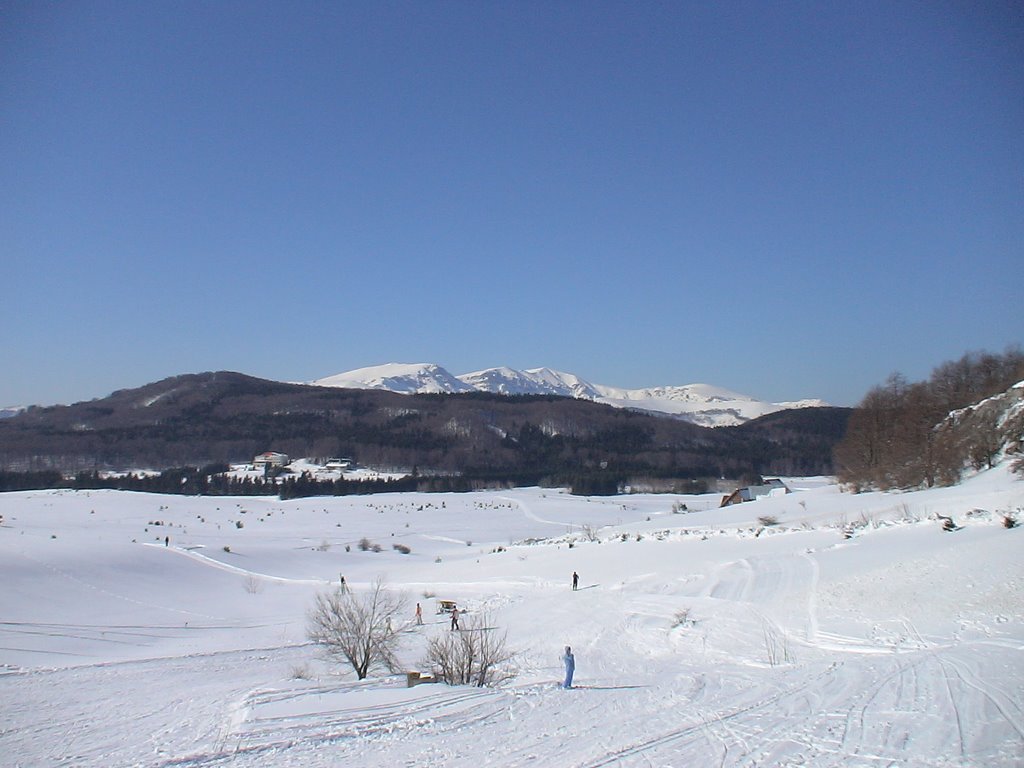Uzana